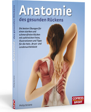 Buchcover Anatomie des gesunden Rückens | Philip Striano | EAN 9783767911468 | ISBN 3-7679-1146-9 | ISBN 978-3-7679-1146-8