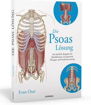 Buchcover Die Psoas-Lösung | Evan Osar | EAN 9783767912205 | ISBN 3-7679-1220-1 | ISBN 978-3-7679-1220-5