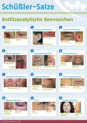 Buchcover Poster Anlitzanalyse | Margit Müller-Frahling | EAN 9783769255119 | ISBN 3-7692-5511-9 | ISBN 978-3-7692-5511-9