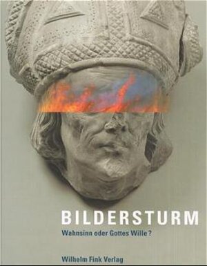 Buchcover Bildersturm  | EAN 9783770535446 | ISBN 3-7705-3544-8 | ISBN 978-3-7705-3544-6