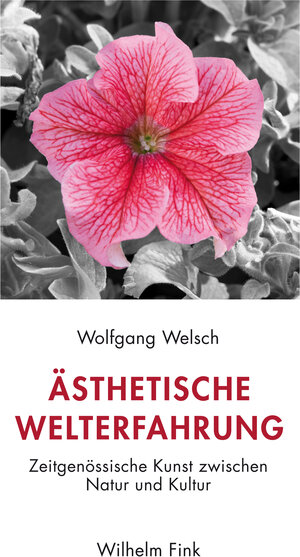 Buchcover Ästhetische Welterfahrung | Wolfgang Welsch | EAN 9783770561346 | ISBN 3-7705-6134-1 | ISBN 978-3-7705-6134-6