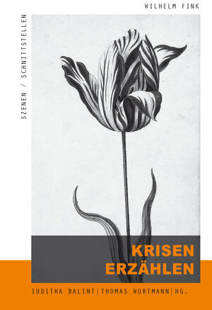 Buchcover Krisen erzählen  | EAN 9783770564118 | ISBN 3-7705-6411-1 | ISBN 978-3-7705-6411-8