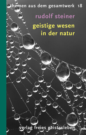 Buchcover Geistige Wesen in der Natur | Rudolf Steiner | EAN 9783772521188 | ISBN 3-7725-2118-5 | ISBN 978-3-7725-2118-8