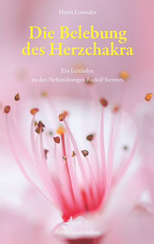 Buchcover Die Belebung des Herzchakra | Sylvia Weyand | EAN 9783772527593 | ISBN 3-7725-2759-0 | ISBN 978-3-7725-2759-3