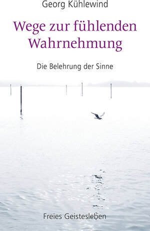 Buchcover Wege zur fühlenden Wahrnehmung | Georg Kühlewind | EAN 9783772528897 | ISBN 3-7725-2889-9 | ISBN 978-3-7725-2889-7