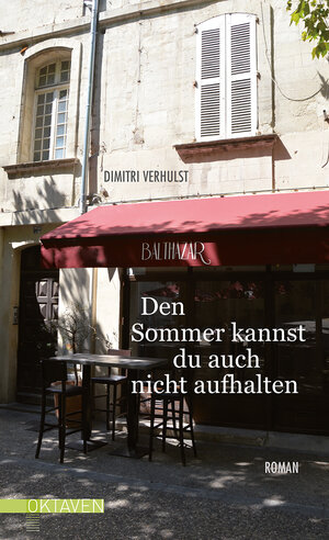 Buchcover Den Sommer kannst du auch nicht aufhalten | Dimitri Verhulst | EAN 9783772530104 | ISBN 3-7725-3010-9 | ISBN 978-3-7725-3010-4