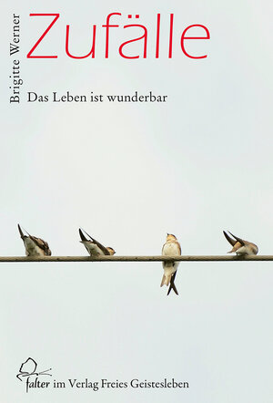 Buchcover Zufälle | Brigitte Werner | EAN 9783772541452 | ISBN 3-7725-4145-3 | ISBN 978-3-7725-4145-2