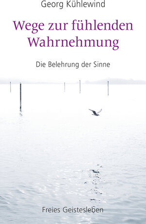 Buchcover Wege zur fühlenden Wahrnehmung | Georg Kühlewind | EAN 9783772543890 | ISBN 3-7725-4389-8 | ISBN 978-3-7725-4389-0