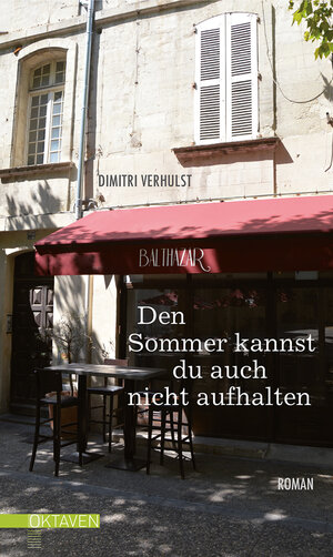 Buchcover Den Sommer kannst du auch nicht aufhalten | Dimitri Verhulst | EAN 9783772544101 | ISBN 3-7725-4410-X | ISBN 978-3-7725-4410-1