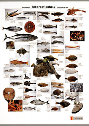 Meeresfische / Marine Fish / Poisson de mer, Poster, Nr.2