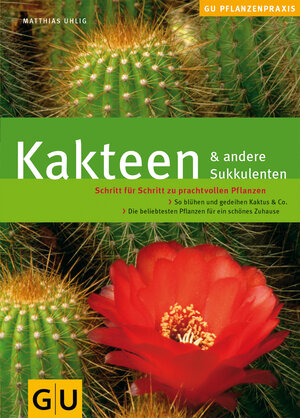 Kakteen & andere Sukkulenten: Schritt für Schritt zu prachtvollen Pflanzen. So blühen und gedeihen Kaktus & Co.: Schritt für Schritt zu prachtvollen ... schönes Zuhause (GU PraxisRatgeber Garten)