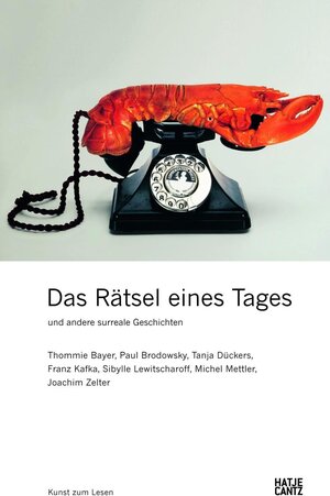 Buchcover Das Rätsel eines Tages und andere surreale Geschichten | Thommie Bayer | EAN 9783775730136 | ISBN 3-7757-3013-3 | ISBN 978-3-7757-3013-6