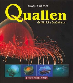 Buchcover Quallen - Gefährliche Schönheiten | Thomas Heeger | EAN 9783777613437 | ISBN 3-7776-1343-6 | ISBN 978-3-7776-1343-7