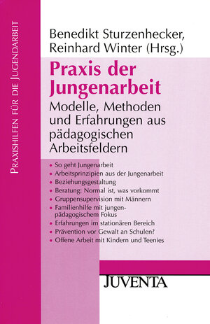 Praxis der Jungenarbeit: Modelle, Methoden und Erfahrungen aus pädagogischen Arbeitsfeldern: Modelle, Methoden und Erfahrungen aus pädaogoischen Arbeitsfeldern (Praxishilfen für die Jugendarbeit)