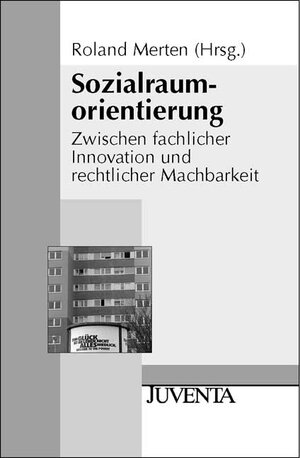 Sozialraumorientierung: Zwischen fachlicher Innovation und rechtlicher Machbarkeit (Juventa Paperback)