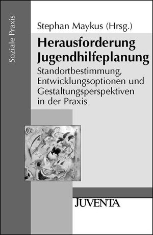 Herausforderung Jugendhilfeplanung: Standortbestimmung, Entwicklungsoptionen und Gestaltungsperspektiven in der Praxis (Soziale Praxis)