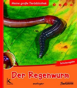 Buchcover Der Regenwurm | Valérie Tracqui | EAN 9783780079107 | ISBN 3-7800-7910-0 | ISBN 978-3-7800-7910-7