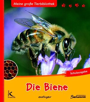 Buchcover Die Biene | Paul Starosta | EAN 9783780079114 | ISBN 3-7800-7911-9 | ISBN 978-3-7800-7911-4