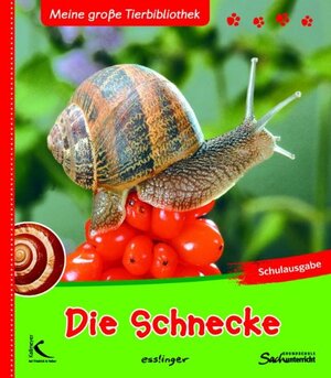 Buchcover Die Schnecke | Paul Starosta | EAN 9783780079121 | ISBN 3-7800-7912-7 | ISBN 978-3-7800-7912-1