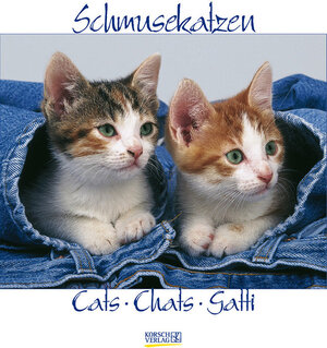 Schmusekatzen 2006.