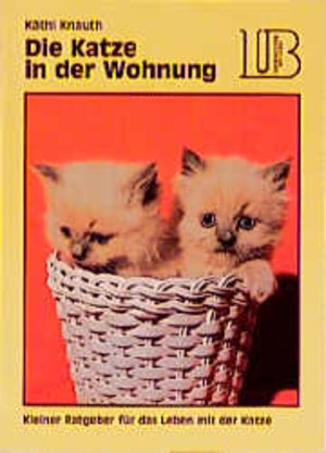 Die Katze in der Wohnung