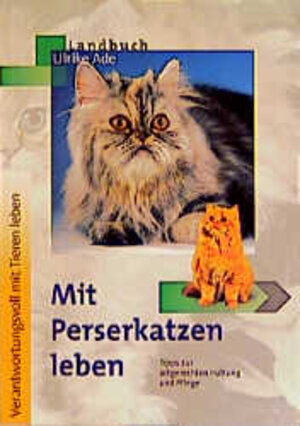 Mit Perserkatzen leben