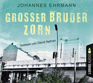 Buchcover Großer Bruder Zorn | Johannes Ehrmann | EAN 9783785752753 | ISBN 3-7857-5275-X | ISBN 978-3-7857-5275-3