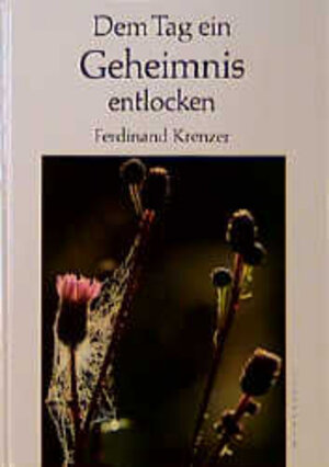 Buchcover Dem Tag ein Geheimnis entlocken | Ferdinand Krenzer | EAN 9783786715900 | ISBN 3-7867-1590-4 | ISBN 978-3-7867-1590-0