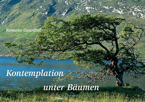 Buchcover Kontemplation unter Bäumen | Romano Guardini | EAN 9783786723646 | ISBN 3-7867-2364-8 | ISBN 978-3-7867-2364-6