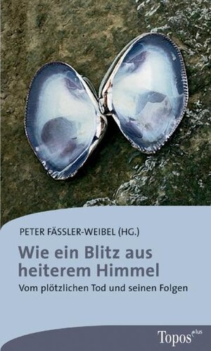 Buchcover Wie ein Blitz aus heiterem Himmel  | EAN 9783786785422 | ISBN 3-7867-8542-2 | ISBN 978-3-7867-8542-2