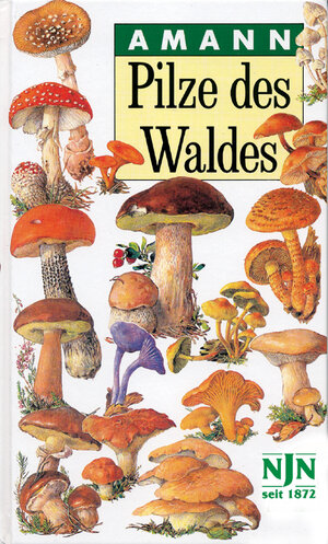 Buchcover Pilze des Waldes | Gottfried Amann | EAN 9783788807634 | ISBN 3-7888-0763-6 | ISBN 978-3-7888-0763-4