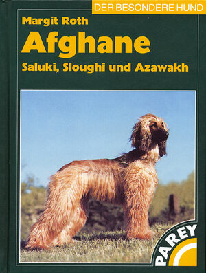 Afghane, Saluki, Sloughi und Azawakh: Praktische Ratschläge für Haltung, Pflege und Erziehung