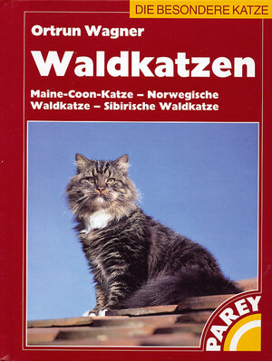 Waldkatzen: Maine-Coon-Katze, Norwegische Waldkatze, Sibirische Waldkatze. Praktische Ratschläge für Haltung und Pflege