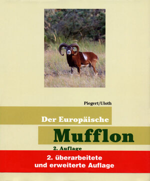 Buchcover Der Europäische Mufflon | Walter Uloth | EAN 9783788812577 | ISBN 3-7888-1257-5 | ISBN 978-3-7888-1257-7