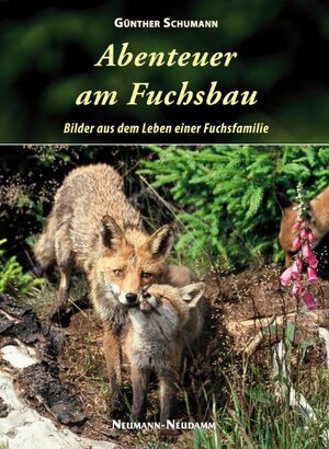 Buchcover Abenteuer am Fuchsbau | Günter Schumann | EAN 9783788813246 | ISBN 3-7888-1324-5 | ISBN 978-3-7888-1324-6