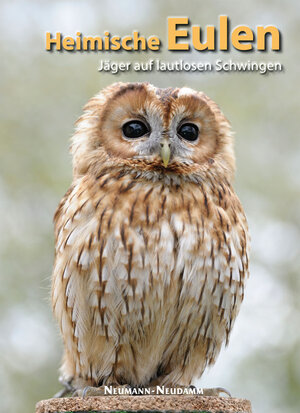 Buchcover Heimische Eulen  | EAN 9783788815561 | ISBN 3-7888-1556-6 | ISBN 978-3-7888-1556-1