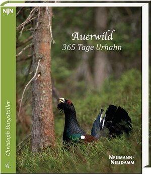 Buchcover Auerwild – 365 Tage Urhahn | Christoph Burgstaller | EAN 9783788816391 | ISBN 3-7888-1639-2 | ISBN 978-3-7888-1639-1