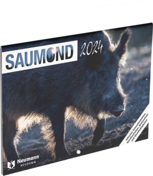 Buchcover Saumond 2024  | EAN 9783788820749 | ISBN 3-7888-2074-8 | ISBN 978-3-7888-2074-9