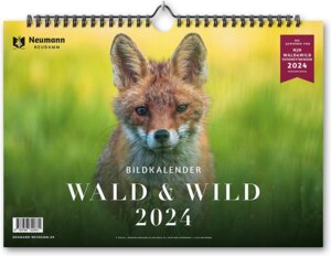 Buchcover Wald & Wild 2024  | EAN 9783788820831 | ISBN 3-7888-2083-7 | ISBN 978-3-7888-2083-1