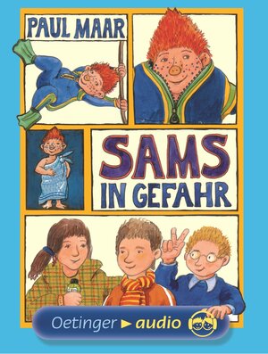 Sams in Gefahr. 4 Cassetten . Lesung