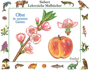 Buchcover Obst in unseren Gärten  | EAN 9783789811012 | ISBN 3-7898-1101-7 | ISBN 978-3-7898-1101-2