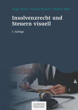 Buchcover Insolvenzrecht und Steuern visuell | Holger Busch | EAN 9783791050294 | ISBN 3-7910-5029-X | ISBN 978-3-7910-5029-4