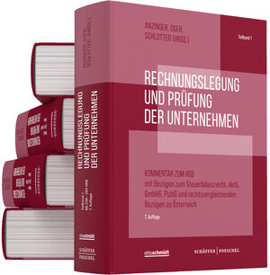 Buchcover Rechnungslegung und Prüfung der Unternehmen (Gesamtausgabe)  | EAN 9783791058610 | ISBN 3-7910-5861-4 | ISBN 978-3-7910-5861-0