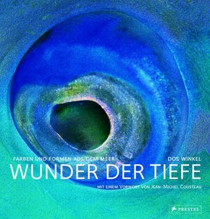 Wunder der Tiefe. Farben und Formen aus dem Meer