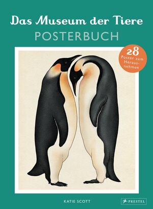 Buchcover Das Museum der Tiere. Posterbuch | Katie Scott | EAN 9783791372495 | ISBN 3-7913-7249-1 | ISBN 978-3-7913-7249-5