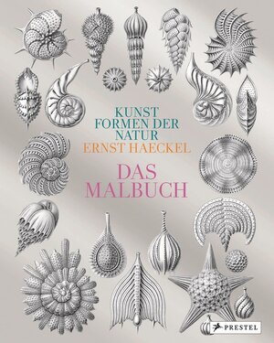 Buchcover Kunstformen der Natur von Ernst Haeckel | Ernst Haeckel | EAN 9783791372587 | ISBN 3-7913-7258-0 | ISBN 978-3-7913-7258-7