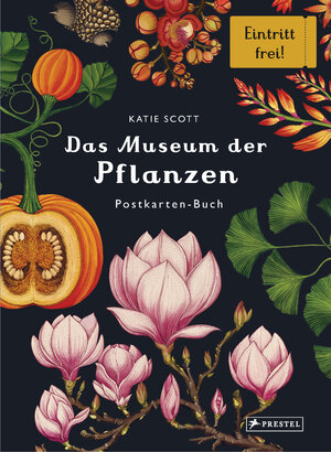 Buchcover Das Museum der Pflanzen. Postkartenbuch | Katie Scott | EAN 9783791373058 | ISBN 3-7913-7305-6 | ISBN 978-3-7913-7305-8