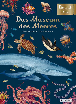 Buchcover Das Museum des Meeres | Loveday Trinick | EAN 9783791374628 | ISBN 3-7913-7462-1 | ISBN 978-3-7913-7462-8