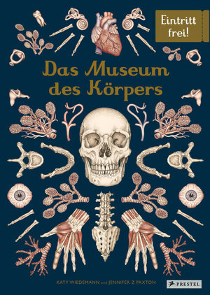 Buchcover Das Museum des Körpers | Jennifer Z. Paxton | EAN 9783791375298 | ISBN 3-7913-7529-6 | ISBN 978-3-7913-7529-8