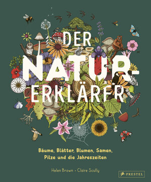 Buchcover Der Natur-Erklärer | Helen Brown | EAN 9783791376042 | ISBN 3-7913-7604-7 | ISBN 978-3-7913-7604-2